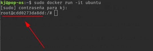 docker run -it ubuntu